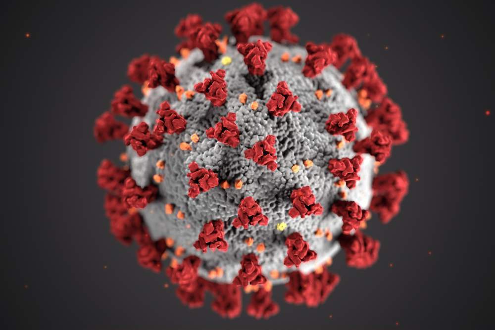 Corona Virus